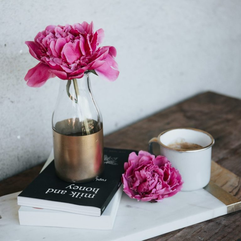 alisa-anton-tT-t-qPCruo-unsplash